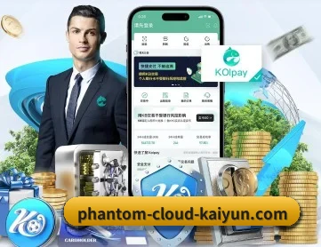 开云体育 APP 深度功能 - kaiyun