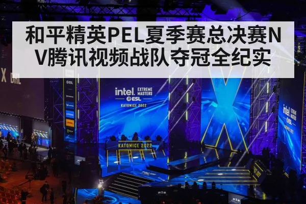 和平精英PEL夏季赛总决赛NV腾讯视频战队夺冠全纪实 | kaiyun